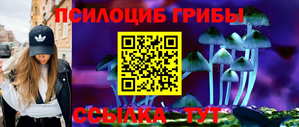 Галлюциногенные грибы прущие грибы  Вход с VPN  Истра 